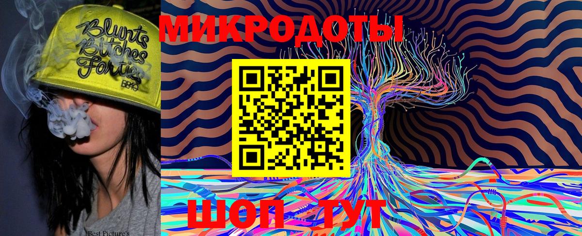 Псилоцибиновые грибы Cubensis Елабуга